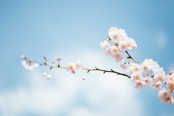 唐诗高鼎村居一